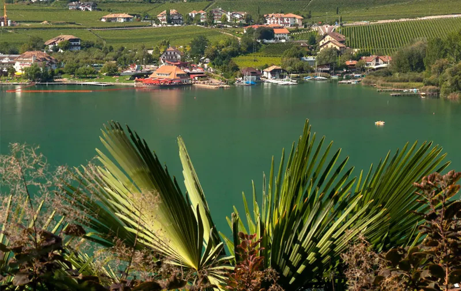 Kalterer See mit Weinbergen und Bergen